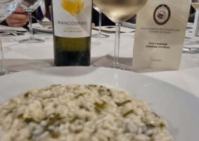 007 2023 - 05 magg 18 veneto