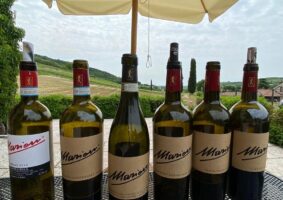 01 2021 - 05 magg 29 veneto