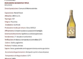 016 2024 - 4 apr 13 molise