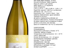 017 2023 - 5 magg 27 BO