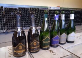 02 2022 - 05 magg 28 veneto