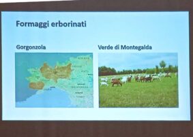 02 2022 - 6 giu 25 veneto