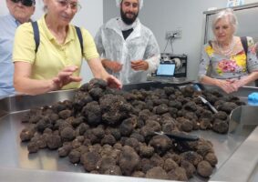 02 2024 - 6 giu 22 molise