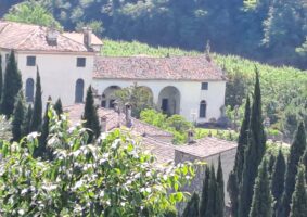 03 2024 - 06 giu 1 veneto