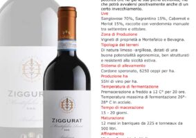 034 2019 - 6 giu 26-27-28 BO