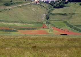 036 2019 - 6 giu 26-27-28 BO