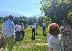 04 2023 - 7 lugl 16 Trentino alto adige