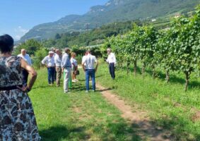 05 2023 - 7 lugl 16 Trentino alto adige