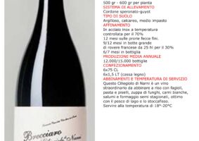 053 2019 - 6 giu 26-27-28 BO