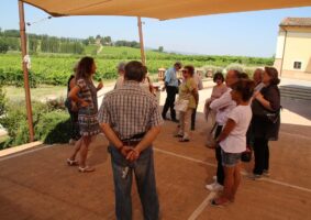 065 2019 - 6 giu 26-27-28 BO