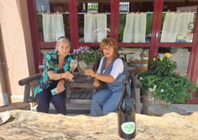 08 2024 - 06 giu 30 veneto