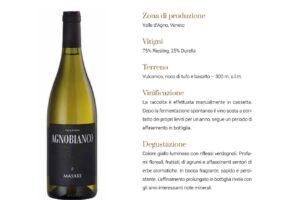 11 2022 - 12 dic 3 veneto