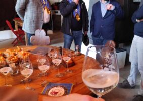 13 2021 - 02 febb 27 veneto