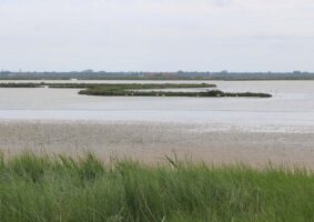 14 2019 - 5 magg 4 BO