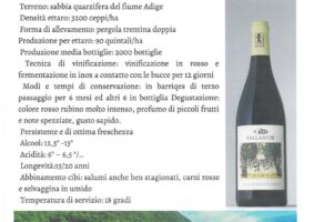 15 2023 - 7 lugl 16 Trentino alto adige