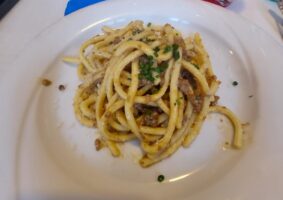 15 2024 - 06 giu 30 veneto
