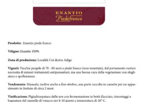 16 2023 - 7 lugl 16 Trentino alto adige
