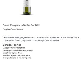 16 2024 - 11 nov 22 molise